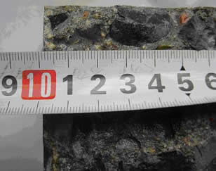 CBMA�������������������